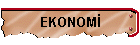 EKONOMİ