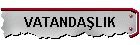 VATANDALIK