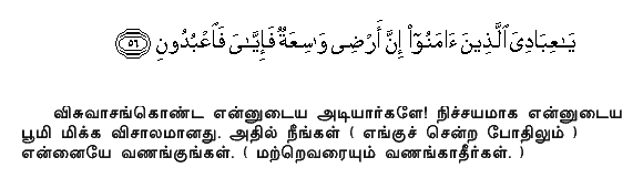 O My servants who believe! Truly, spacious is My earth: Thereefore serve ye Me (and Me alone).Holy Quran - 29:56