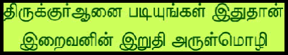 Read Holy Quran