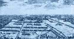 Bataille de Fontenoy