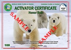Activator Honor Roll