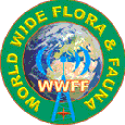 WorldWide Flora & Fauna