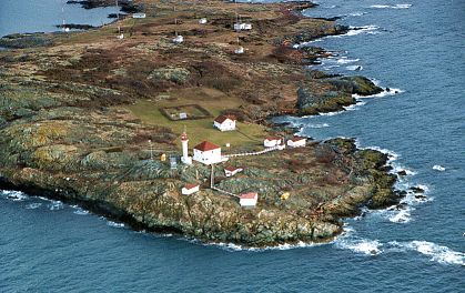 Arial View of Trial Island Lighthouse