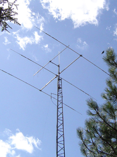 anteny