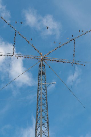 My old antenna (click to enlarge)