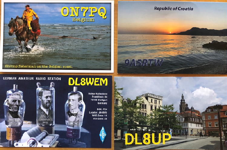 6a6 qsls