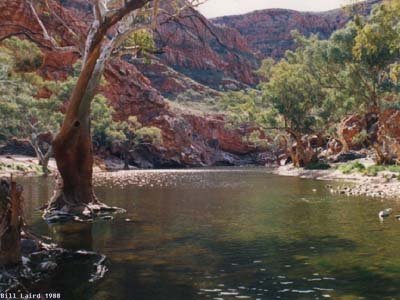 Photo 0: Alice Springs area 1988