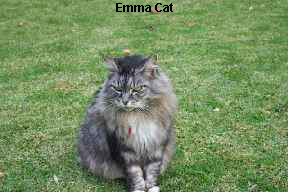 Emma Cat