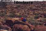 Tibooburra