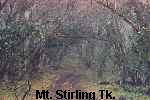 Mt. Stirling Tk.