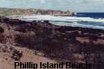 Phillip Island Beach