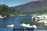 Snowy River