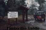 Tamboritha Saddle