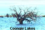 Coongie Lakes