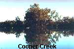 Cooper Creek