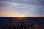 Simpson Sunset