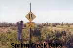 Spring Creek Delta