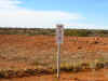 Ground Zero Emu.JPG (387688 bytes)