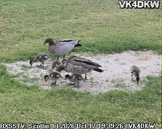 4th previous previous RX de VK4BNT