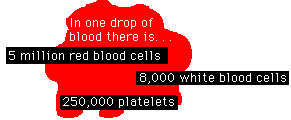 Blood Cells