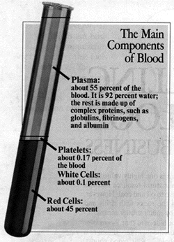 Components of Blood