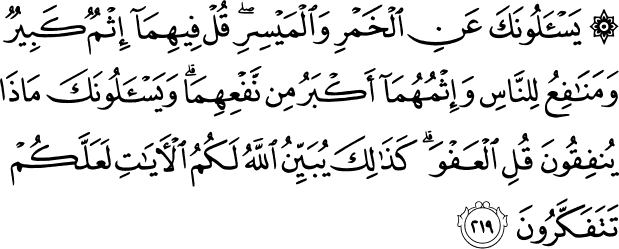 Our Lord, make us not [objects of] torment for the disbelievers and forgive us, our Lord. Indeed, it is You who is the Exalted in Might, the Wise. -Holy Quran 2:219