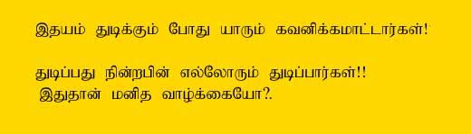 Tamil Saying