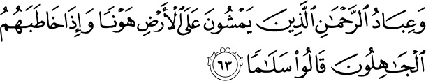 And the servants of (Allah) Most Gracious are those who walk on the earth in humility, and when the ignorant address them, they say, Peace! - Holy Quran 25:63