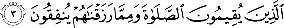 Holy Quran - 8:3