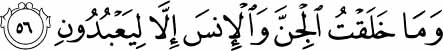 And I did not create the jinn and mankind except to worship Me. Holy Quran - 51:56