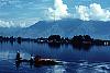 Dal Lake Srinagar (Kashmir Valley)