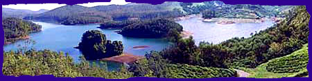 Kodaikanal Lake