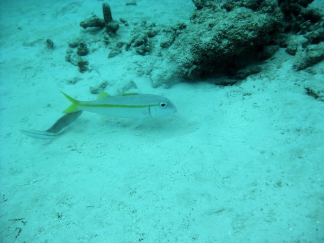 img_0054.jpg