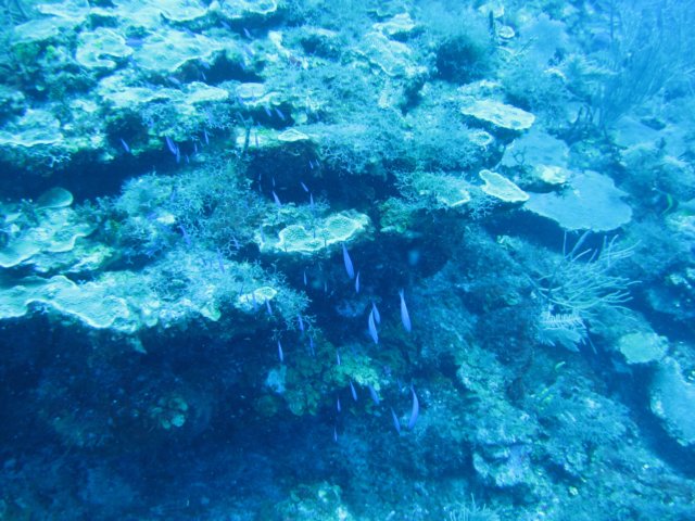 img_3306.jpg