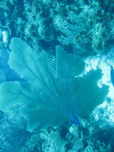 img_3340.jpg