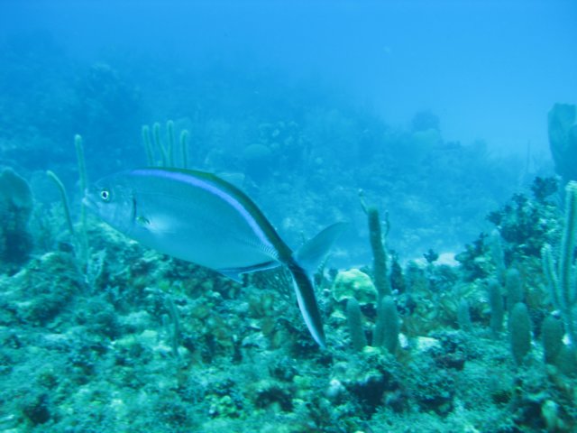 img_3641.jpg
