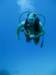 img_4687a_small.jpg
