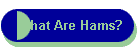 What Are Hams?