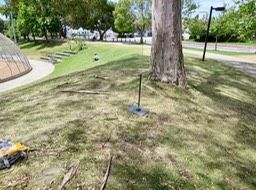 IMG_5885