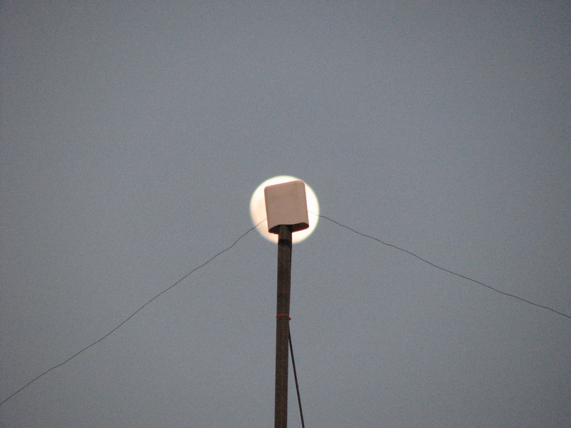 Reference Dipole feedpoint