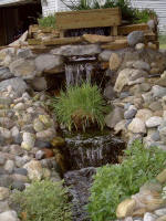 pondfall102003_small.jpg (150x200 -- 10518 bytes)
