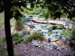 pondfall82003_small.jpg (150x112 -- 7603 bytes)