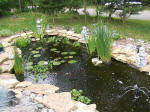 lower pond