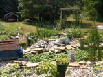 at the pond 4