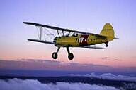 Stearman