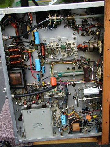 Bottom view after