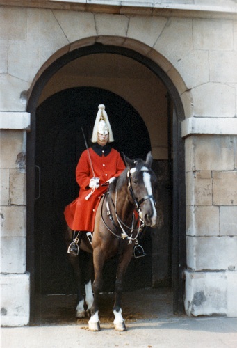 Guard - 10 Downing Street
