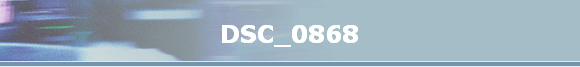 DSC_0868