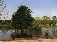 tn_Lake2.jpg (6154 bytes)